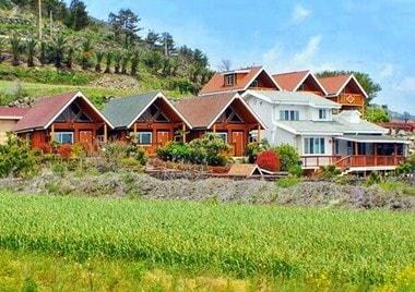 본문 이미지 - <사진제공 : 하바다통나무집펜션> © News1  