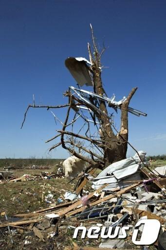 본문 이미지 - © AFP=뉴스1 