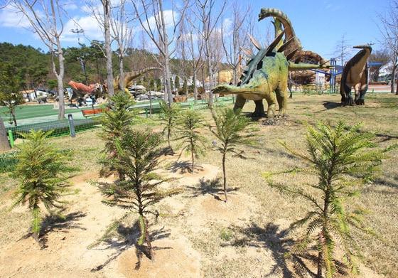 본문 이미지 - 공룡의 먹이로 알려진 울레미 소나무© News1 