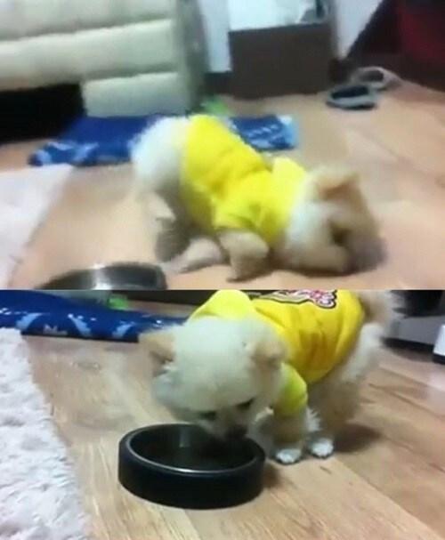 본문 이미지 - 해당 유튜브 영상 캡처. © News1  