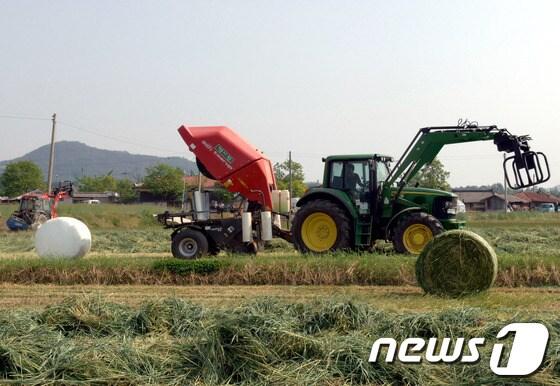 본문 이미지 - 2014.05.01/뉴스1© News1 김동규 기자
