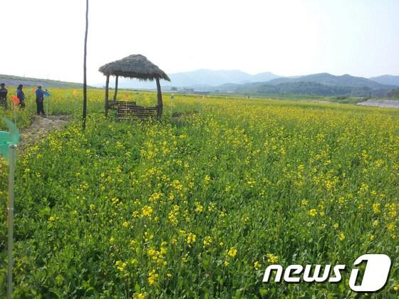 본문 이미지 - 사진=구미시© News1  