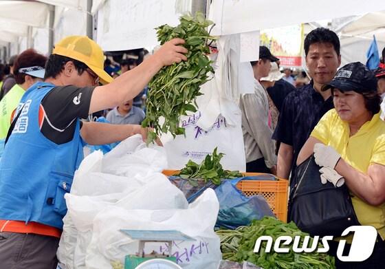 본문 이미지 - 지난해 '제4회 정선 곤드레 산나물 축제' 축제장에서 관광객들이 곤드레를 구입하고 있다. (사진제공=정선군) 2014.5.14/뉴스1 © News1   하중천 