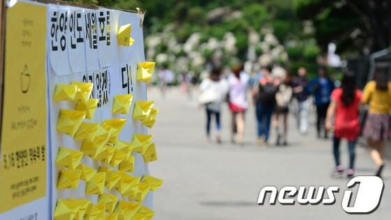본문 이미지 - 22일 오후 세월호 참사로 봄 축제가 취소된 서울 성동구 한양대학교 교내 한 벽면에 희생자들을 위한 추모 메시지가 적힌 종이가 붙어 있다.5월은 대학가 축제의 계절이지만 세월호 참사 추모 분위기 속에서 총학생회에서 축제를 줄줄이 취소하거나 연기하고 있다. 2014.5.22/뉴스1 © News1   양동욱 기자