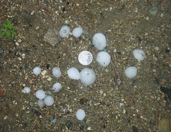 본문 이미지 - 100원짜리 동전 크기의 우박. © News1   