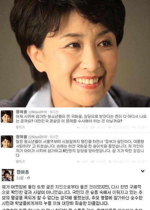 본문 이미지 - 정미홍 트위터 및 페이스북 © News1