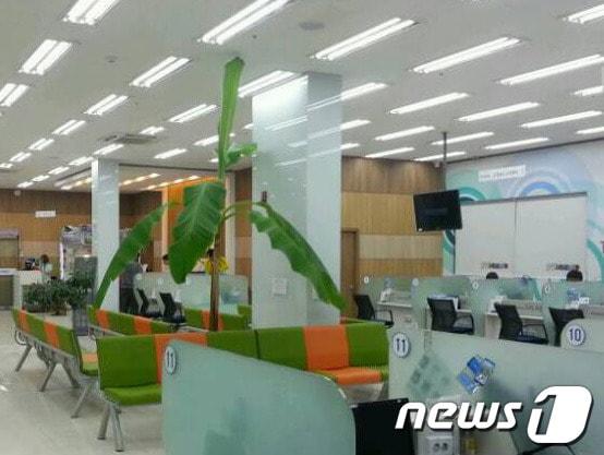 본문 이미지 - 삼성전자서비스의 새 협력사가 이천지역에서의 서비스를 맡게 됐다. 사진은 삼성전자서비스 이천센터.© News1  