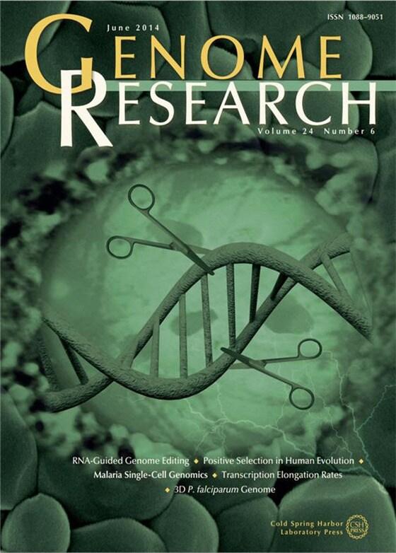 본문 이미지 - 지놈 리서치 6월 최신호© News1  