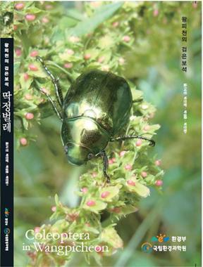 본문 이미지 - '왕피천의 검은 보석, 딱정벌레' 책 표지. © News1 