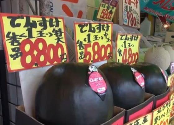 본문 이미지 - 덴스케 수박 © 출처-유튜브캡쳐=News1 