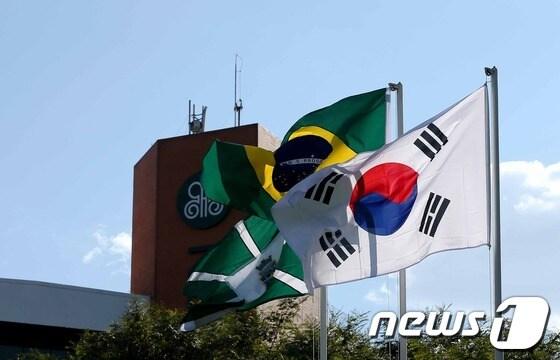 본문 이미지 - 지난 2014년 브라질 포즈 두 이과수 축구대표팀 숙소 앞에 태극기와 브라질 국기가 바람에 펄럭이고 있다.2014.6.11/뉴스1