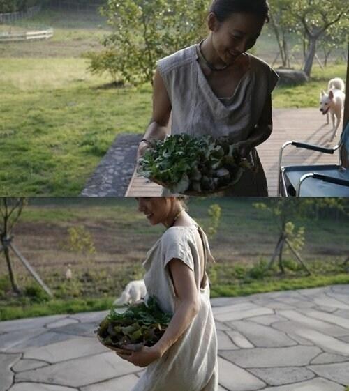 본문 이미지 - 이효리 블로그 캡처 © News1   