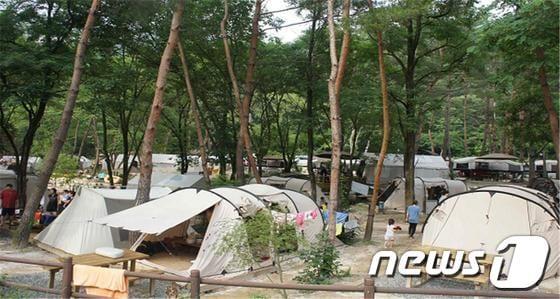 본문 이미지 - 월악산국립공원 닷돈재 야영장. (국립공원관리공단 제공) © News1 