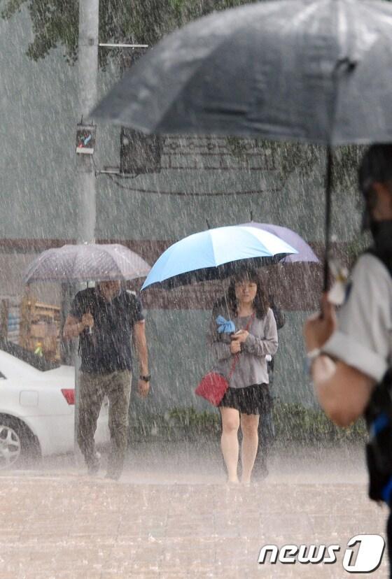 본문 이미지 - . 2014.6.23/뉴스1 © News1 허경 기자