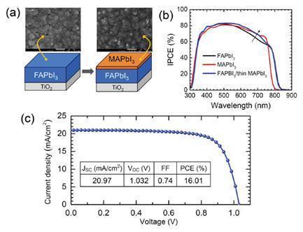 본문 이미지 - 홀전도체와 페로브스카이트 층의 계면 구조를 제어해 계면 저항을 최소화 한 도식도© News1  