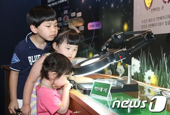 본문 이미지 - 2013년 무주반딧불축제에서 어린이들이 주제관에서 반딧불이를 관찰하고 있다.(무주군 제공)2014.06.03/뉴스1© News1 