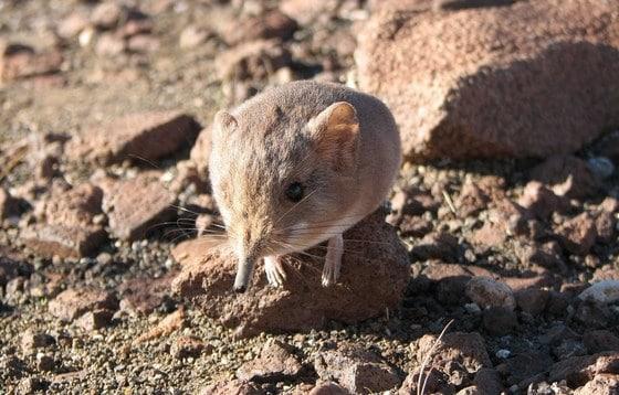 본문 이미지 - ©유튜브= News1 