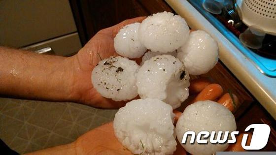 본문 이미지 - &#40;출처=트위터&#41; © News1  