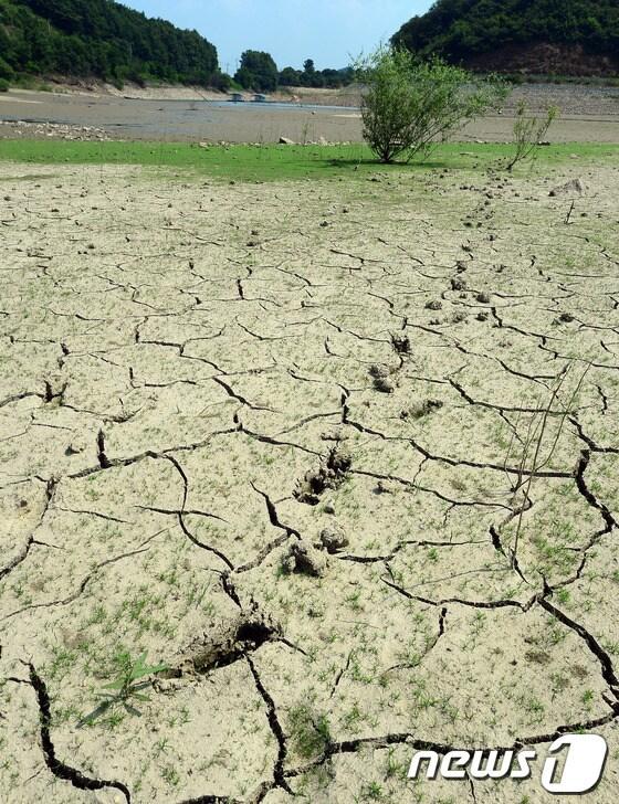 본문 이미지 - 통상 6월 말께 찾아오는 장마가 늦어지면서 평년보다 강수량이 적어 가뭄현상이 곳곳에서 발생하고 있다. 1일 충남 공주시 의당면의 한 저수지가 메말라 바닥이 보이고 있다. 2014.7.1/뉴스1 © News1   장수영 기자