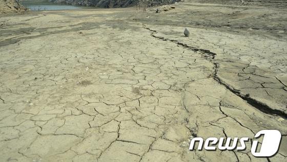 본문 이미지 - 13일 극심한 여름 가뭄이 이어지면서 강원 춘천시 서면 서상리 신매저수지가 바닥을 드러내고 있다. 총 저수량 191만 8000㎡인 신매저수지는 농업용수공급을 위해 1985년 설치됐다. 2014.7.13/뉴스1  © News1   황준 
