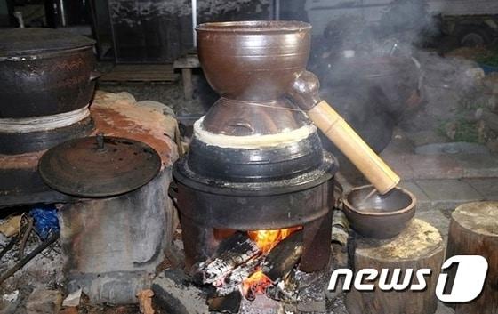 본문 이미지 - 조선 3대 명주 ‘죽력고’  제조 과정.(사진제공=정읍시 )ⓒ News1 박제철