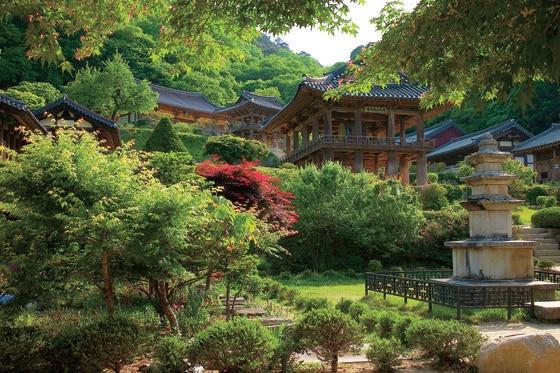 본문 이미지 - 영주 부석사. ⓒ News1