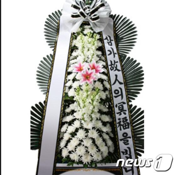 본문 이미지 - 조화.(뉴스1지료)ⓒ News1