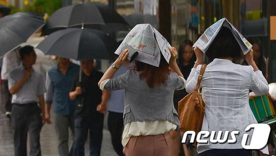 본문 이미지 - 여름철 습기 제거 방법 ⓒ News1