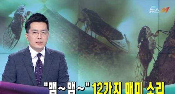 본문 이미지 - OBS 캡처 ⓒ News1