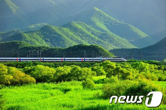 본문 이미지 - © News1 