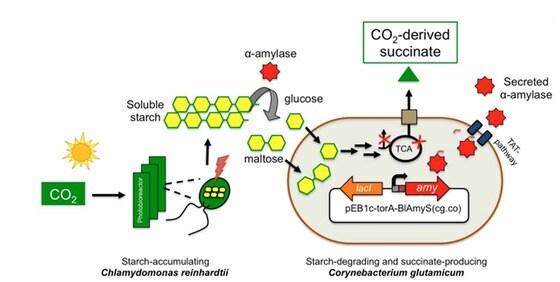 본문 이미지 - ⓒ News1