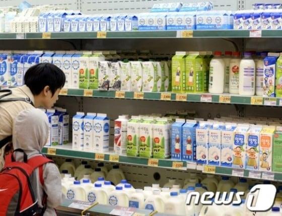 본문 이미지 - 서울 시내 한 대형마트에서 소비자가 우유를 고르고 있다. ⓒ News1