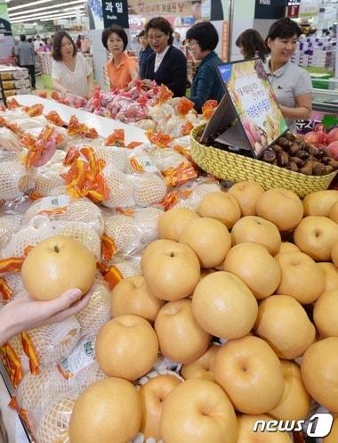 본문 이미지 - ⓒ News1 손형주 기자