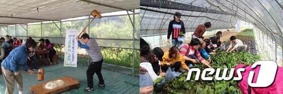 본문 이미지 - 서울농업체험 그린투어 프로그램(사진=서울시 제공). ⓒ 뉴스1