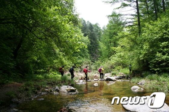 본문 이미지 - ⓒ News1