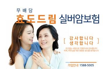 본문 이미지 - ING생명, 효도드림 실버암보험 출시 ⓒ News1
