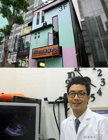 본문 이미지 - '청담우리동물병원' 윤병국 원장 ⓒ News1