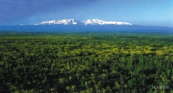 본문 이미지 - 백두산 현무암 용암대지