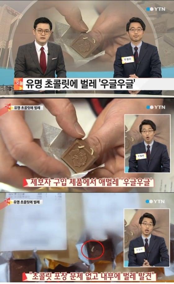 본문 이미지 - YTN 뉴스 화면 캡처