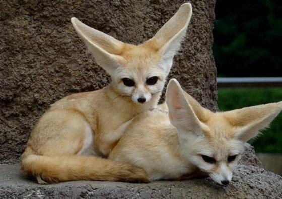 본문 이미지 - 네이버 제공