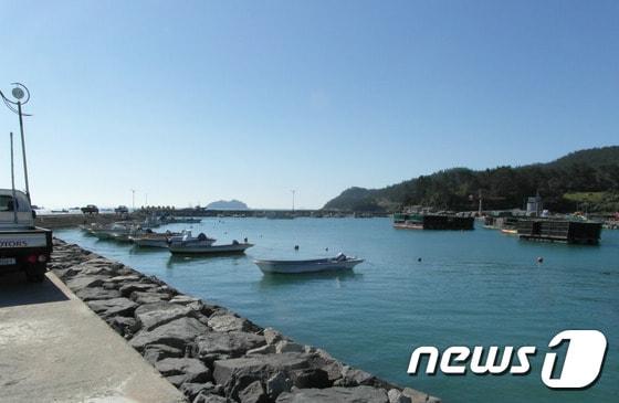 본문 이미지 - 진도 초평항./사진제공=진도군ⓒ News1