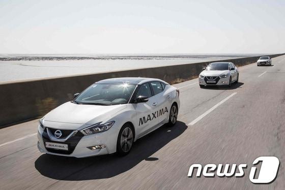 본문 이미지 - 닛산 맥시마ⓒ News1