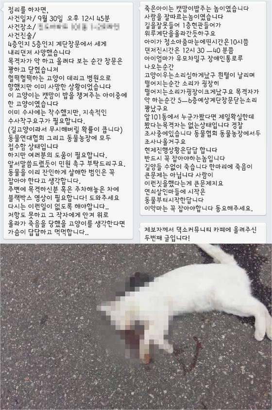 본문 이미지 - 아파트에서 고양이를 던져 잔인하게 죽인 사건이 네티즌들 사이에서 논란이 되고 있다.(사진 페이스북 페이지 '덕소 대신전해드립니다'  해당 사건 제보 자료 캡처)ⓒ News1