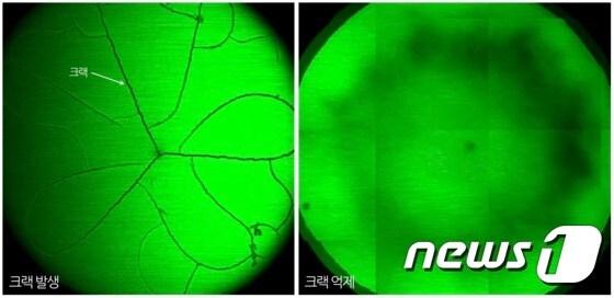 본문 이미지 - 크랙이 발생한 모습(왼쪽), 크랙이 발생하지 않은 모습.ⓒ News1