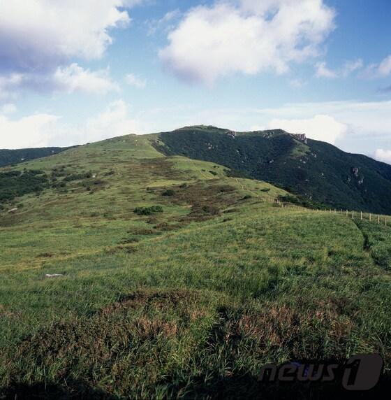 본문 이미지 - 양산시가  인구  30만  달성을 기념하면서  오는 30일부터   천성산의  문화유산을  소개하는  특별전시를  개최키로  했다.(양산시청  사진제공) ⓒ News1   강영범기자