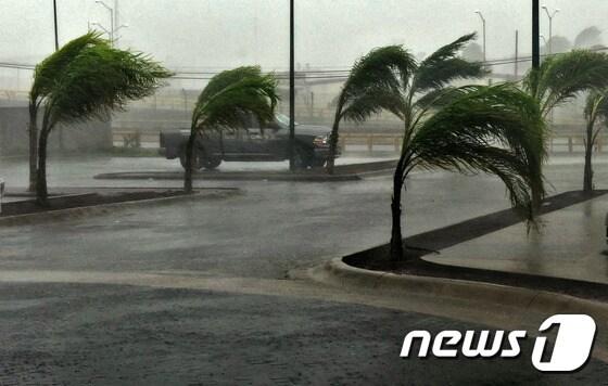 본문 이미지 - ⓒ AFP=뉴스1