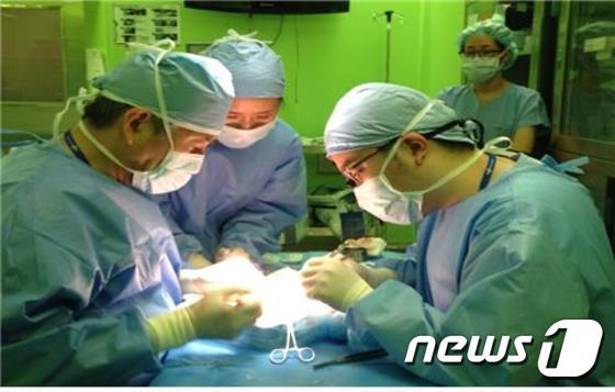 본문 이미지 - 양산부산대병원  외과  최병현교수가  췌장이식  수술중인 모습이다.(양산부산대병원  사진제공)ⓒ News1  강영범기자