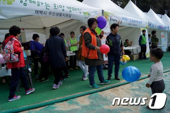 본문 이미지 - 2015년 진행됐던 태백제 행사 자료사진. (뉴스1 DB)