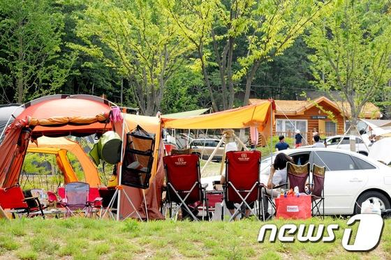 본문 이미지 - 울산 중구 입화산 참살이숲 오토캠핑장. ⓒ News1