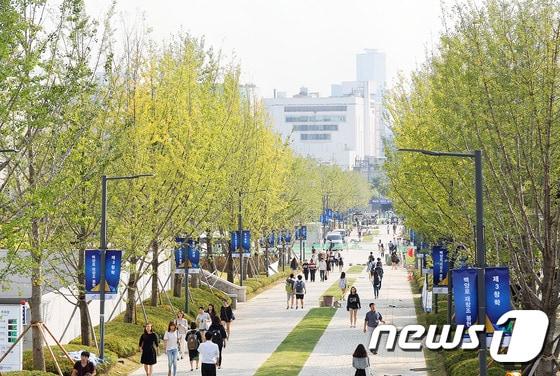 본문 이미지 - 연세대 백양로 전경 (연세대학교 제공)/뉴스1 ⓒ News1